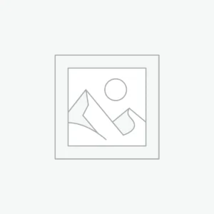 BSW POINT 380W SAME AS ROBE POINT